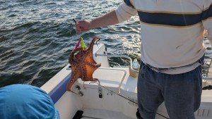 PXL_20250729_215011627