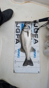 PXL_20251026_010738441