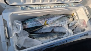 PXL_20260321_065956340